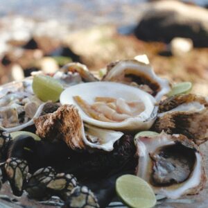a plate of oysters and clams on a beach